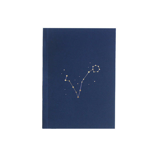 Notebook: Pisces Zodiac Sign
