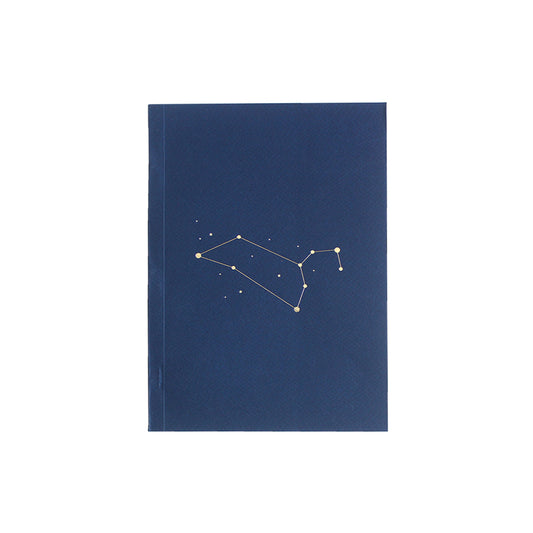 Notebook: Leo Zodiac Sign