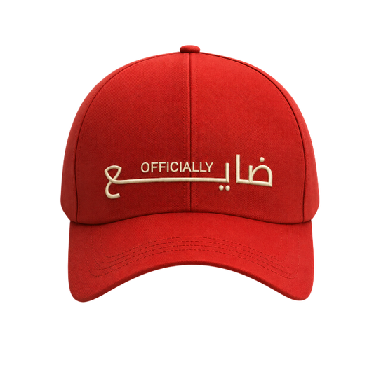 Cap: Officially Dayi3